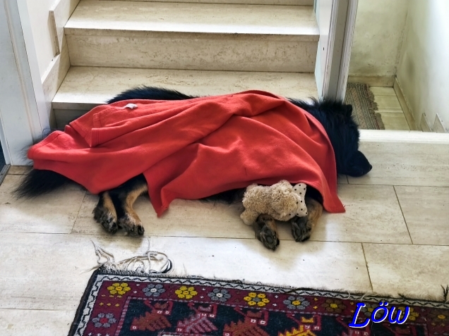 17.4.2025 - Ruheposition